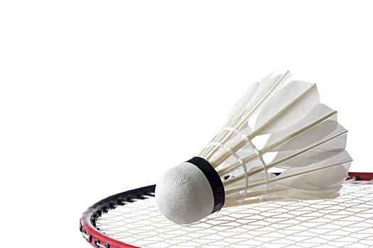 地区拥有极 地区拥有极