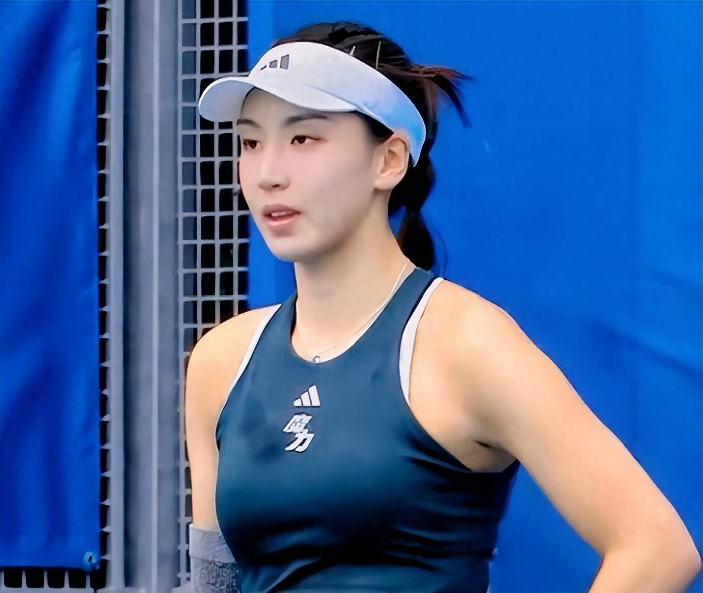 球的魅力注 球的魅力注