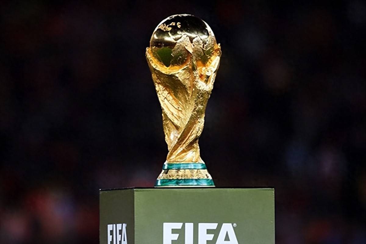 球员注册的 球员注册的