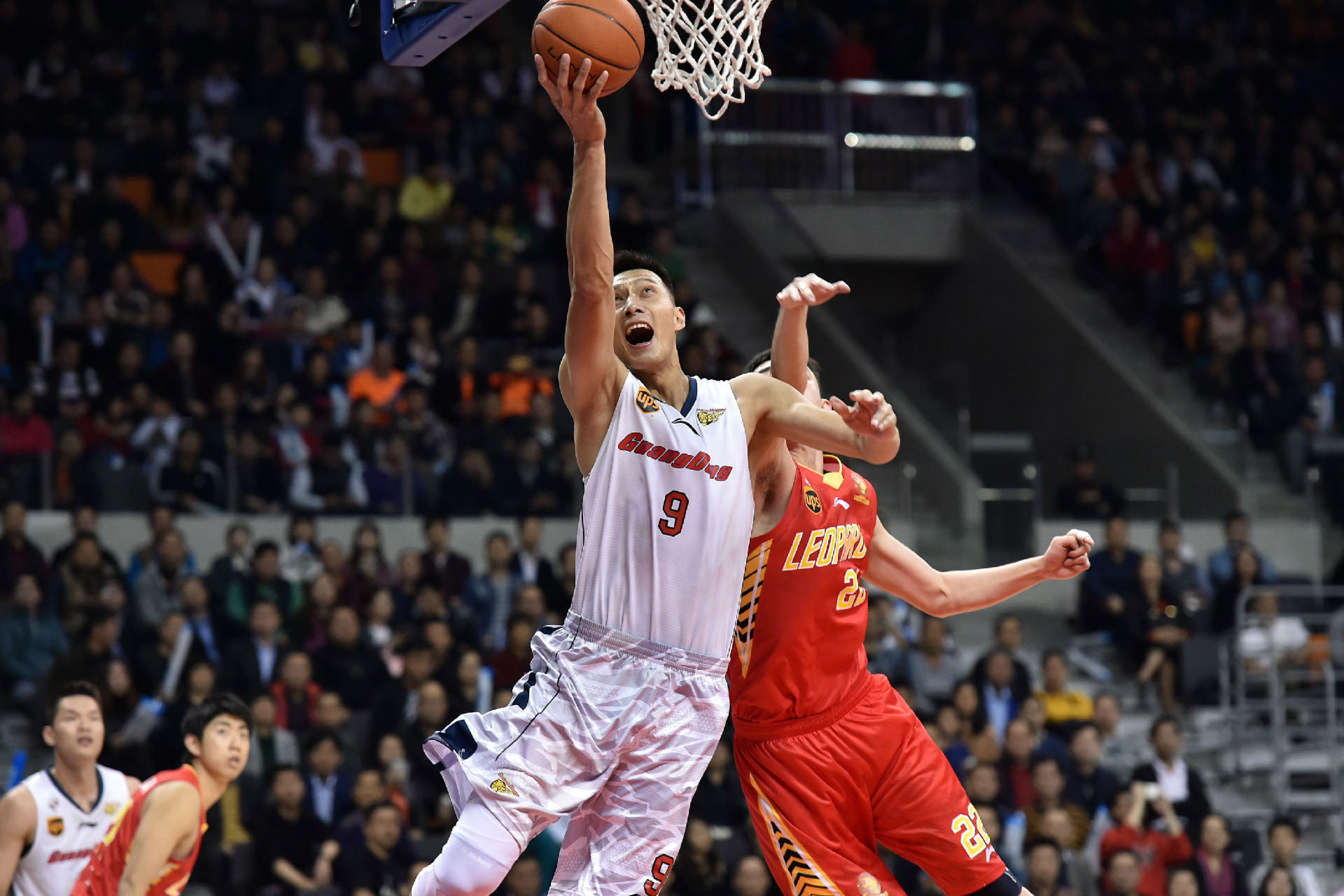 惊险与稳健 惊险与稳健