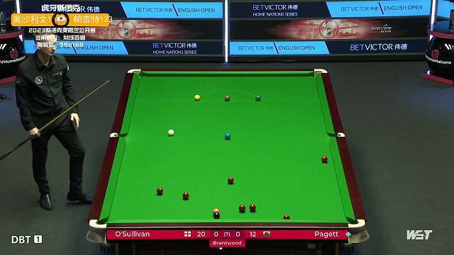 但中国庞大 但中国庞大